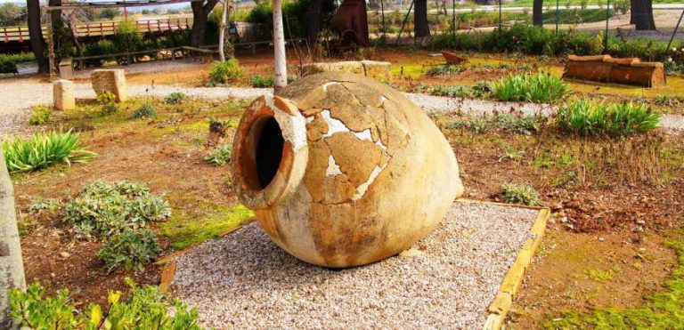 Museum of Ancient Elis